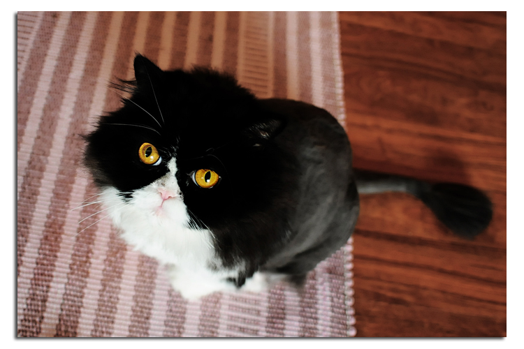thanksblog5