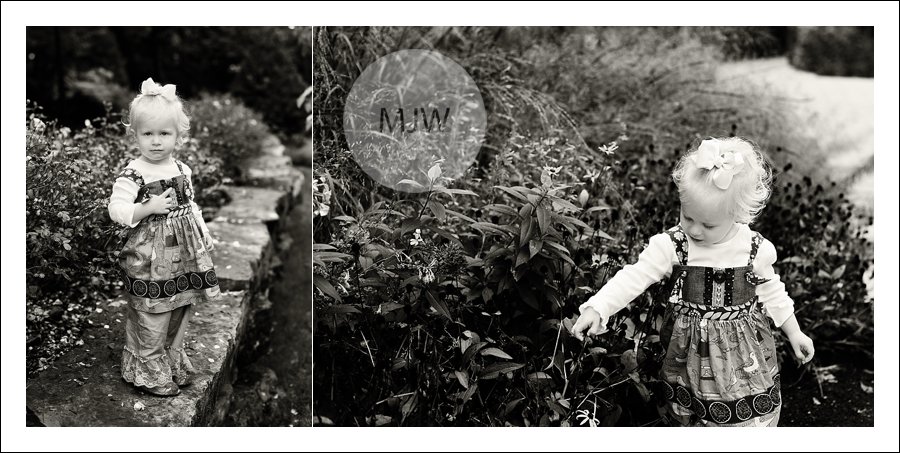 http://www.mjwphotography.com/wp/wp-content/uploads/2013/10/2013-10-18_0003.jpg
