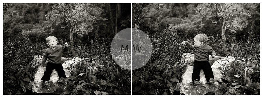 http://www.mjwphotography.com/wp/wp-content/uploads/2013/11/2013-11-10_0011.jpg