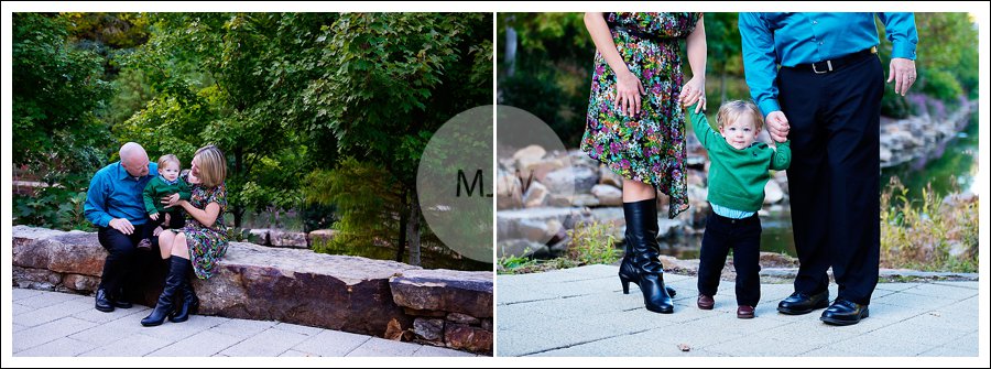 http://www.mjwphotography.com/wp/wp-content/uploads/2013/11/2013-11-10_0012.jpg
