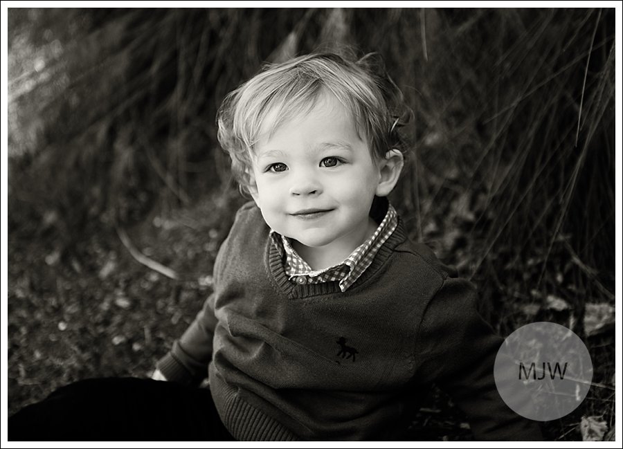 http://www.mjwphotography.com/wp/wp-content/uploads/2013/11/2013-11-10_0014.jpg