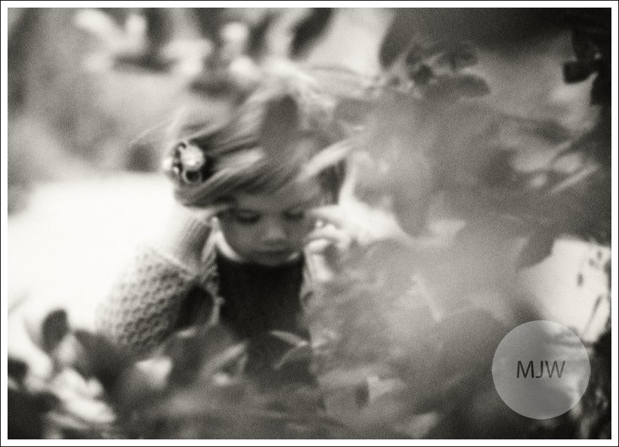 http://www.mjwphotography.com/wp/wp-content/uploads/2013/11/2013-11-14_0014.jpg