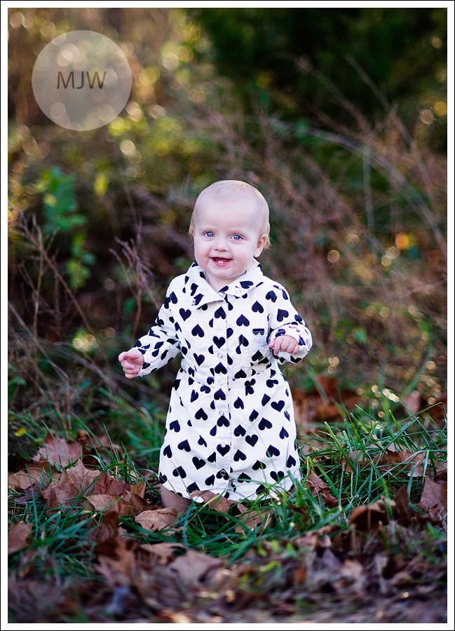 http://www.mjwphotography.com/wp/wp-content/uploads/2013/11/2013-11-17_0004.jpg